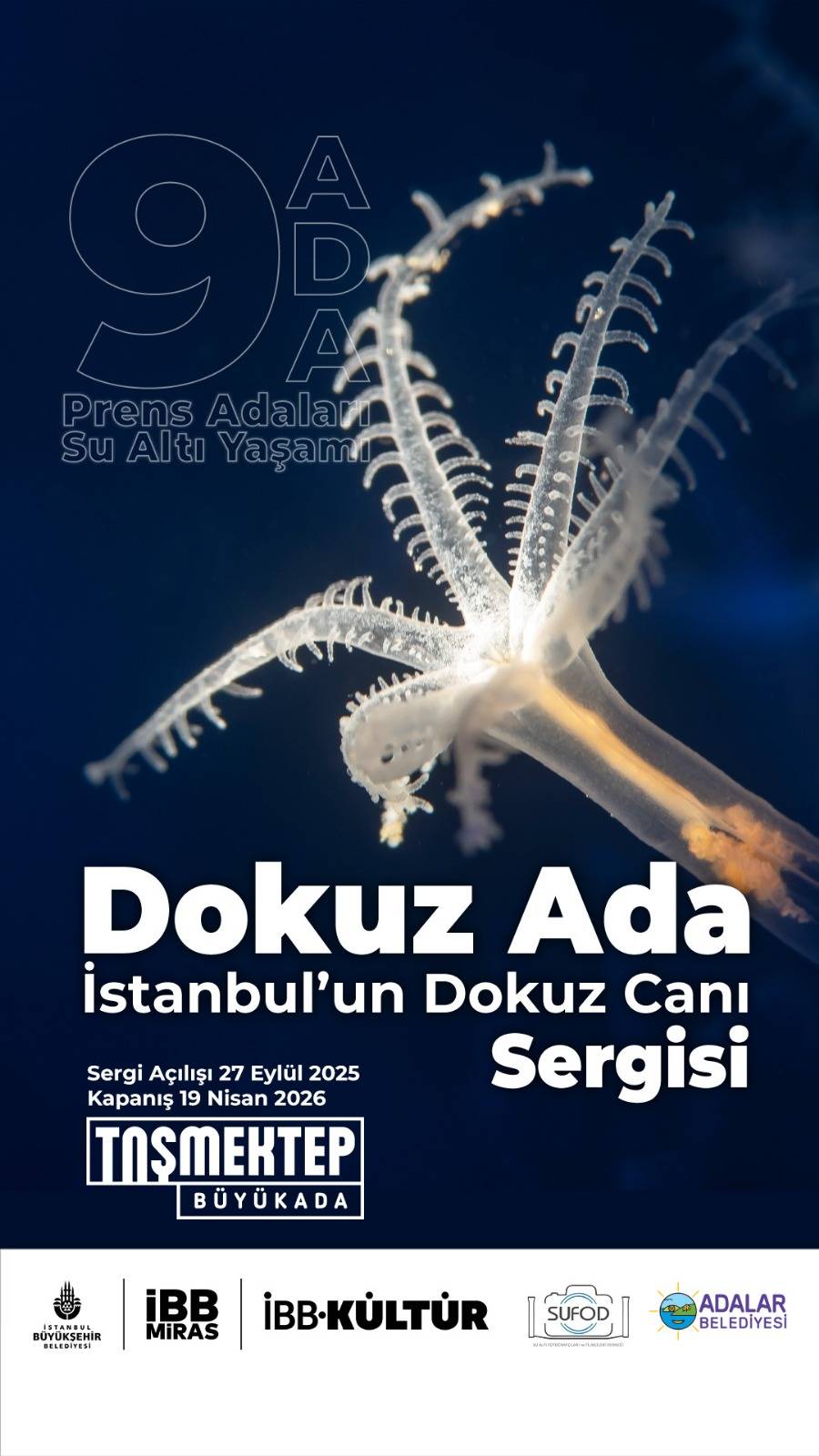 Adaların su altı dünyası Taş Mektep’te sanatseverlerle buluştu 6